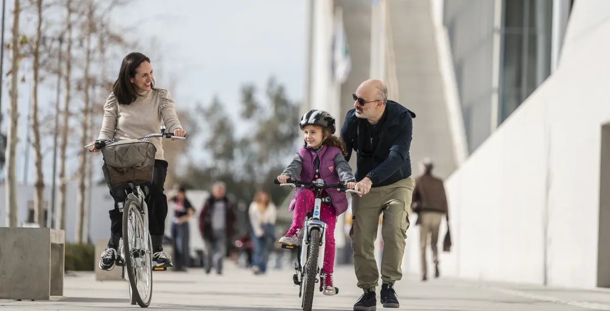 Family Bikes Diathlon