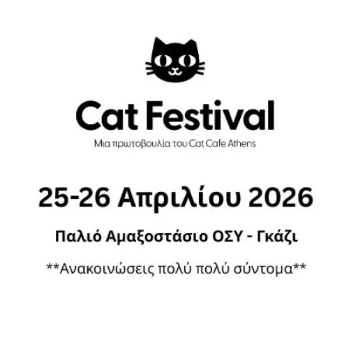 Cat Festival 2026